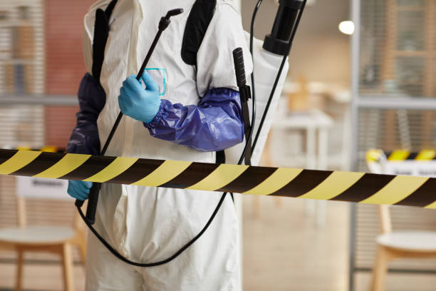 Professional Sewage Cleanup technician working in Corryton, TN